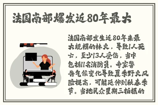 秒懂网站填空题2024